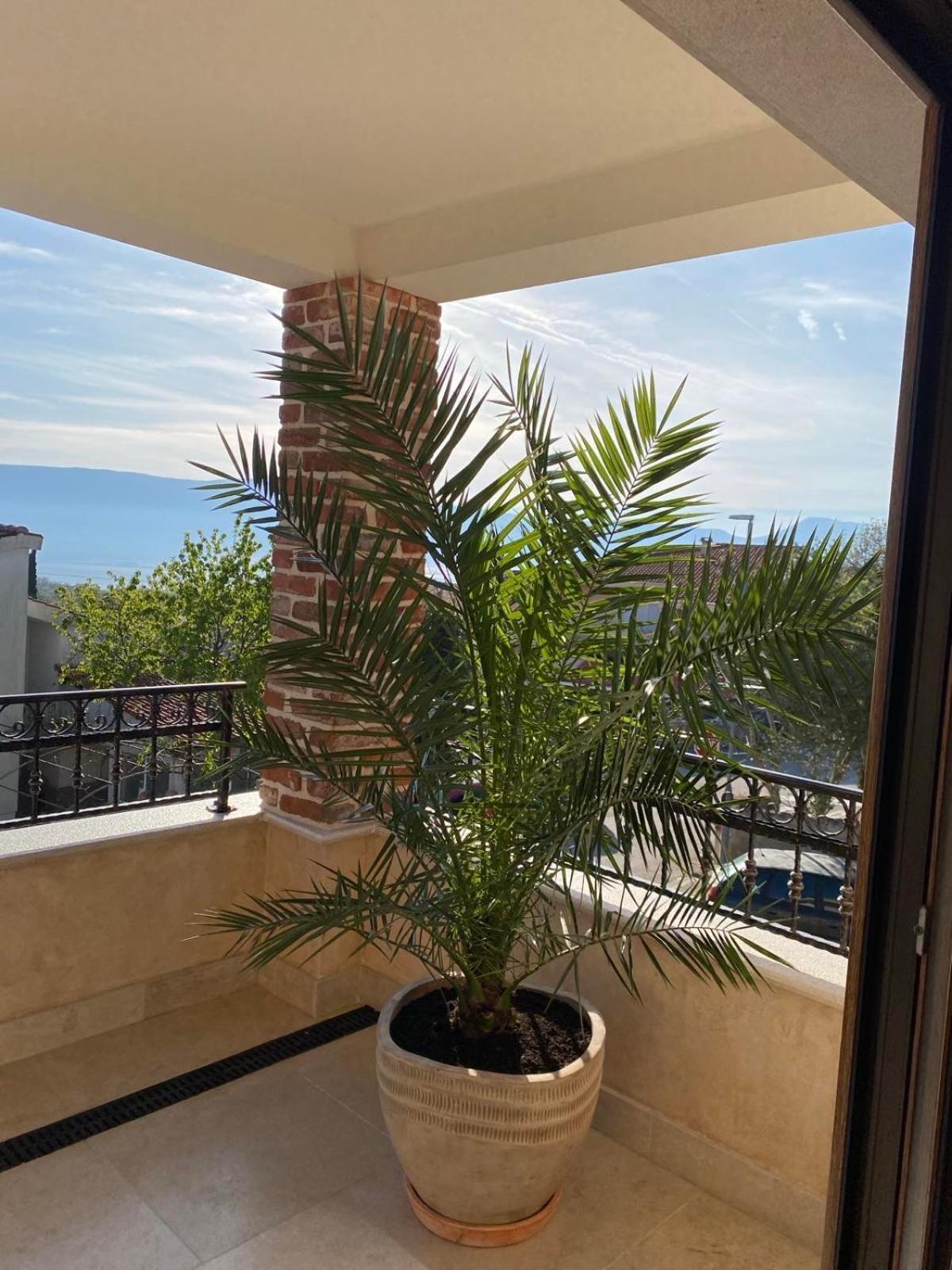 Apartments Sanja Pinezići Zewnętrze zdjęcie